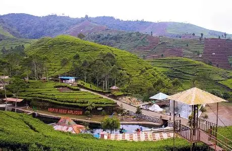 Travel Bumiayu - Jabodetabek